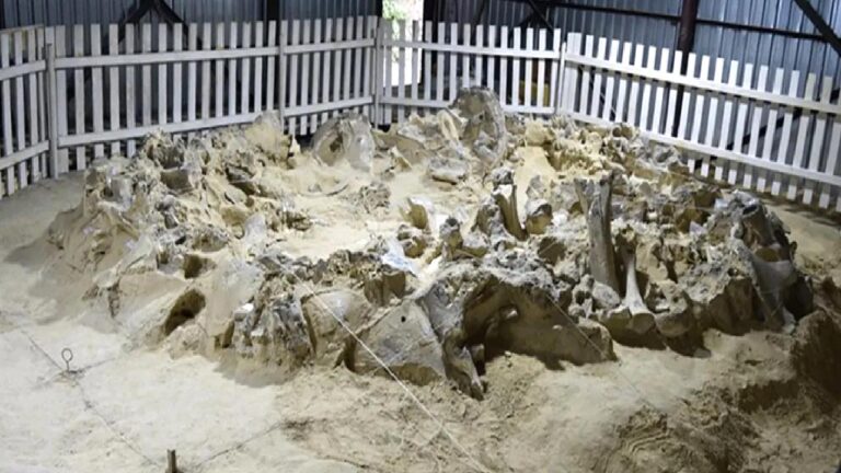 Mamut kemiğinden evler: Atalarımızın dondurucu soğukla imtihanı