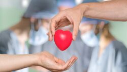 Organ nakli sonrası karakter değişimi: Bilim bu tuhaf dönüşümü nasıl açıklıyor?