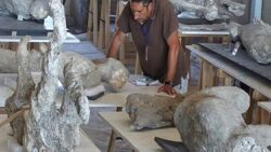 Pompeii kurbanlarının üzerindeki sır: Kalın yünlü pelerinler tarihi değiştirebilir mi?