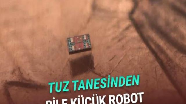 Tuz Tanesinden Bile Küçük Dünyanın En Küçük Otonom Robotları Geliştirildi