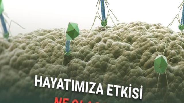 Bu da Oldu: Yapay Zekânın Artık Kendi Başına Virüs Oluşturabildiği Keşfedildi