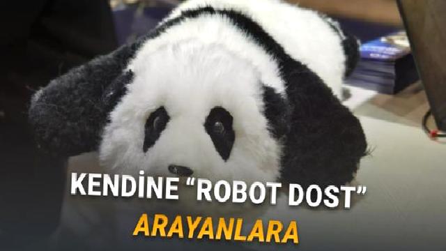 CES 2026: Yaşlılara Psikolojik Destek Sağlayabilen Panda Robot “AnAn” Tanıtıldı
