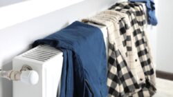 Petekte kurutulan çamaşırlar, evinizi yavaş yavaş nasıl çürütüyor?