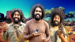 Sosyal medyada yükselen bir fenomen: Bush Legend