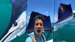 Yapay zeka mı gerçek mi? Mavi marlin karşılaşması viral oldu