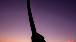 Her adımları, aslında birer ölüm tuzağıymış