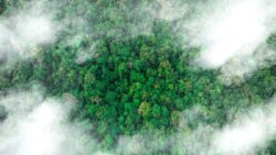 Metan gazındaki rekor artışın suçlusu bulundu