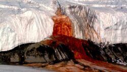 Antarktika’daki “Kanlı Şelale”nin gizemi çözüldü: Buzun altında neler oluyor?