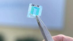 Kuantum batarya devrimi kapıda: Şarj süresi saniyelere düşecek