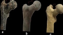 Tarih kitapları değişebilir: İnsanlığın şafağı Avrupa’ya mı kayıyor?