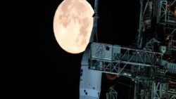 Uzayda dana döş ve peynirli makarna keyfi: Ay yolcularının menüsü belli oldu