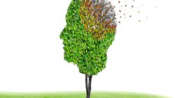 10 bin kişilik araştırma, yalnızlık ve demans arasındaki ince çizgiyi ortaya çıkardı