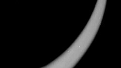 Akreplerin milyonlarca yıllık metal sırrı