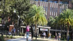 ChatGPT, şimdi de cinayete yardım etmekle suçlanıyor