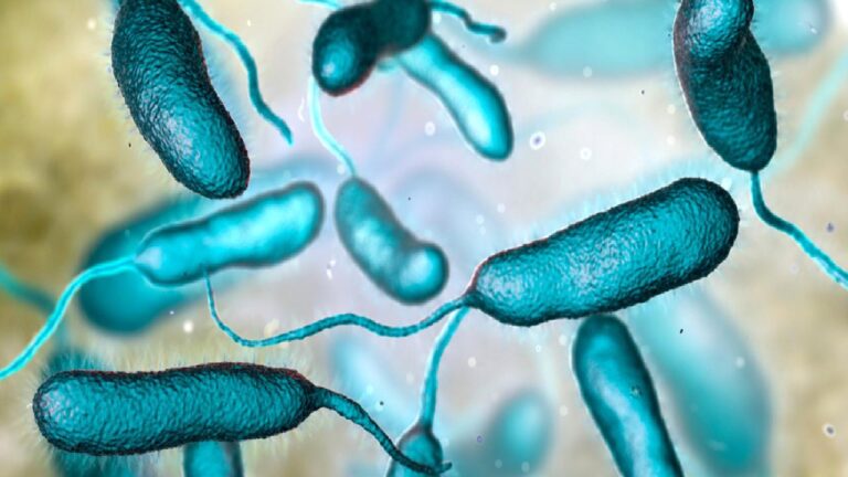 “Et yiyen bakteri” alarmı: Serinlemek isterken hayatı karardı