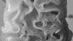 Geleceğin malzemesi: Hem tüy kadar hafif, hem de 50 kat daha güçlü