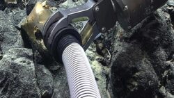 Herkes onu “uzaylı yumurtası” sandı, gerçek bambaşka çıktı