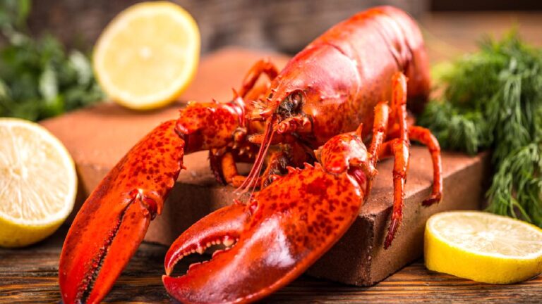 Mutfaktaki etik kriz: Istakozların acı çektiği bilimsel olarak kanıtlandı