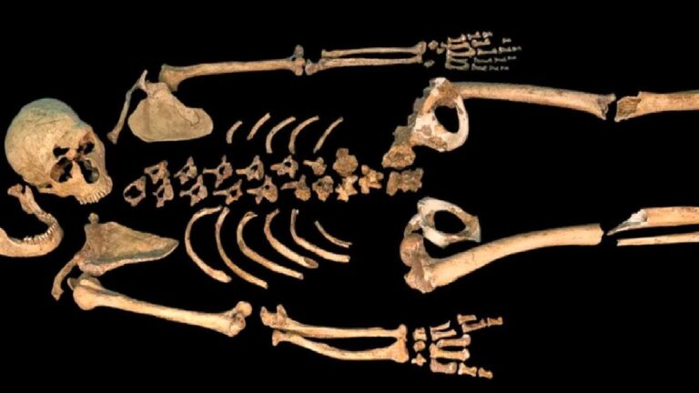 Neandertallerin 40 bin yıllık cenaze ritüeli ortaya çıktı