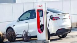 Tesla Model Y Bataryası 180.000 Kilometre Sonra Ne Durumda? Sonuçlar Şaşırtıcı!