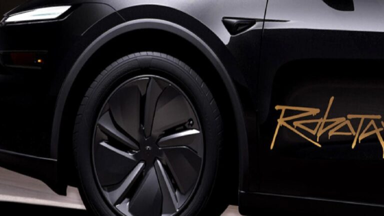 Tesla Robotaxi Uygulaması Android için Çıktı