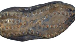 Toprağın altından çıkan ayak izleri: Binlerce yıllık ayakkabıların gizemi