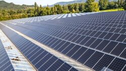 Toprağın dijital zırhı: Çin’in algoritmaları dünyayı doyurabilir mi?