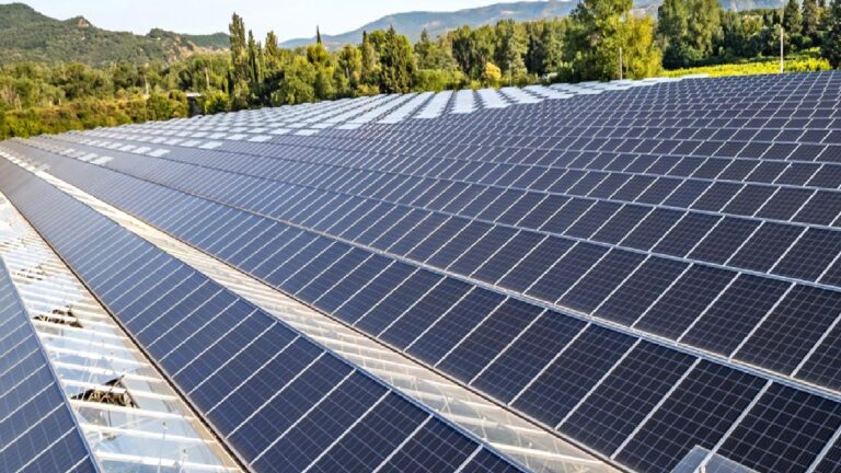 Toprağın dijital zırhı: Çin’in algoritmaları dünyayı doyurabilir mi?