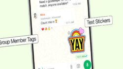 Ücretli WhatsApp Plus dönemi başlıyor: Yeni özellikler belli oldu