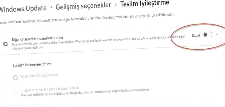 Windows İnternetinizi Sömürüyor!