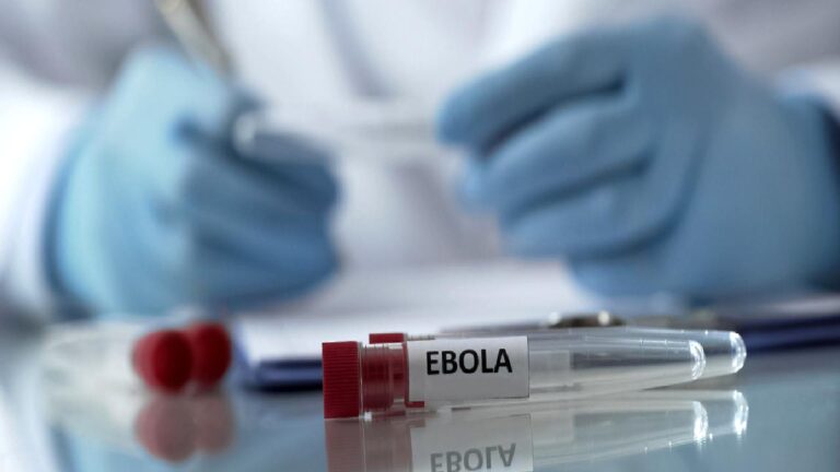 Aşısı ve tedavisi yok: Ebola sınırları aşınca acil durum ilan edildi