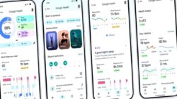 Google’dan yeni uygulama: Google Health resmen duyuruldu