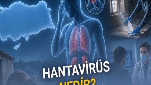 Hantavirüs Nedir? Türkiye’de Vaka Var mı? İşte Belirtileri, Bulaşma Yolları, Tedavisi ve Korunma Yöntemleri