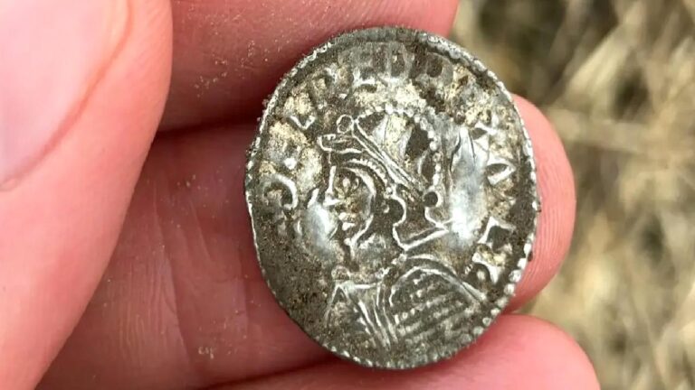 Viking tarihinin en büyük gümüş definesi keşfedildi