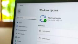 Windows 11’de Hatalı Sürücü Devri Kapanıyor