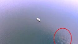 Suların altındaki iki asırlık sır: Amerika’nın Nessie’si kameraya yakalandı