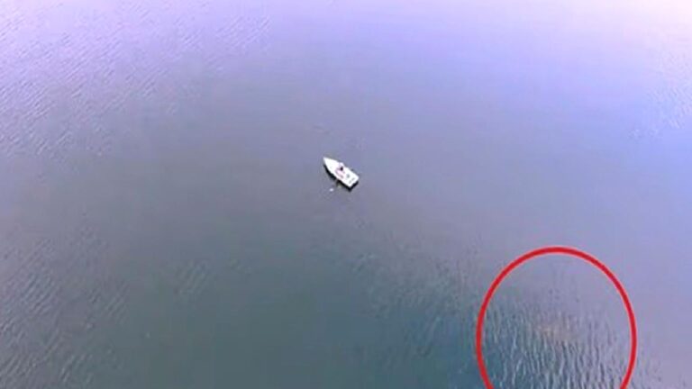Suların altındaki iki asırlık sır: Amerika’nın Nessie’si kameraya yakalandı
