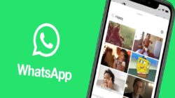 WhatsApp Kullanıcı Adı Özelliği Neden Önemli?