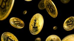 12 yıl erişemediği Bitcoin’lerine kavuştu, bir anda milyoner oldu