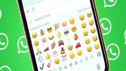 WhatsApp Hareketli Emoji Tepkileri Özelliğini Başlatıyor