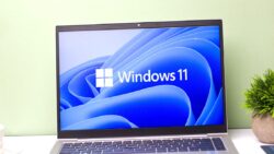 Windows 11, ekran kartı sürücülerini neden siliyor?