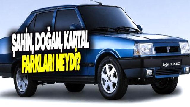 Yıllardır Kafa Karıştıran Konu: Şahin, Doğan ve Kartal Arasında Tam Olarak Ne Fark Vardı?