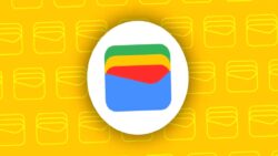 Gemini artık Google Wallet’taki bilgilerinizi de kullanacak