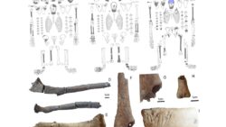 Göbekli Tepe’de ilk kez bozulmamış insan mezarları bulundu