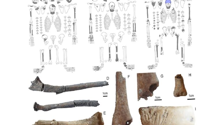 Göbekli Tepe’de ilk kez bozulmamış insan mezarları bulundu