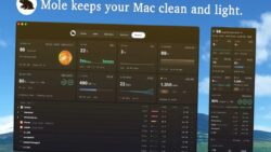 macOS için Hepsi Bir Arada Temizlik ve Sistem Aracı: Mole