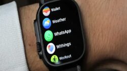 WhatsApp Apple Watch Uygulamasına Tam Emoji Desteği Geldi