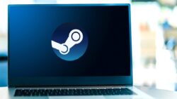 Windows 11 yükseliyor, AMD yaklaşıyor: Steam’de dikkat çeken tablo