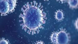 Google Yapay Zekâsı Gribe Yönelik Hastane Yatışlarını Tahmin Etmede Zirvede: 39 Modeli Geride Bıraktı!