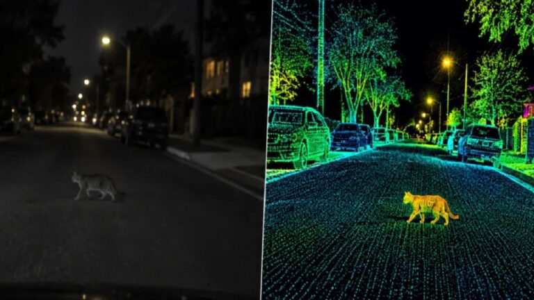 Tesla’nın Robotaxi’sini gece durduran sorun: Gri bir kedi bile yeterli